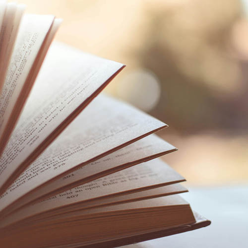 Mega Book Club