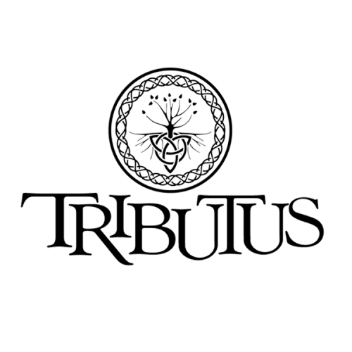 Tributus Pink Floyd, Queen & SuperTramp