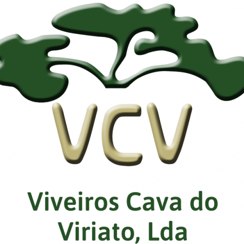 Workshop Plantas de Interior e os seus Problemas