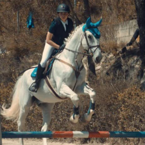 36.º Concurso Nacional de Saltos de Obstáculos FSM
