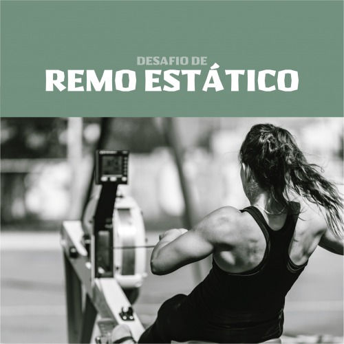 Final Desafio Remo Estático