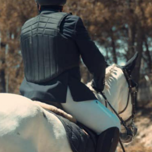 36.º Concurso Nacional de Saltos de Obstáculos FSM